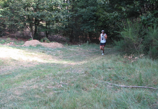 IMG 0038